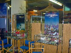 DKMT Stand